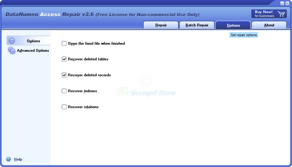 screenshot of DataNumen Access Repair