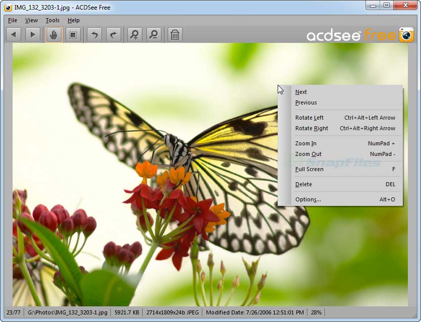 screen capture of ACDsee Free