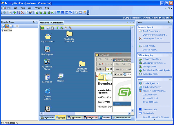 screen capture of SoftActivity Monitor