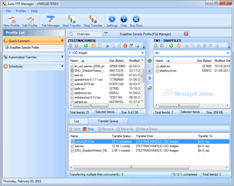 screen capture of Auto FTP Manager