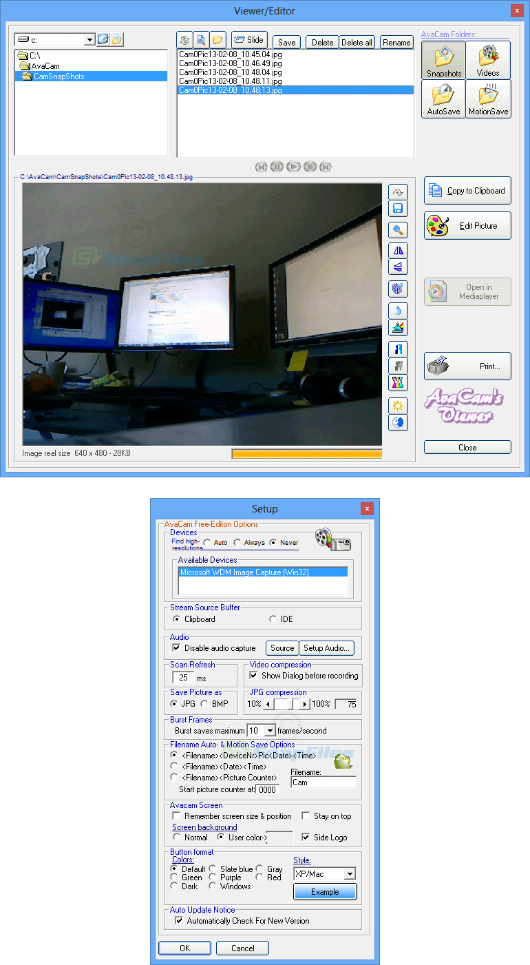 screenshot of RGS-AvaCam
