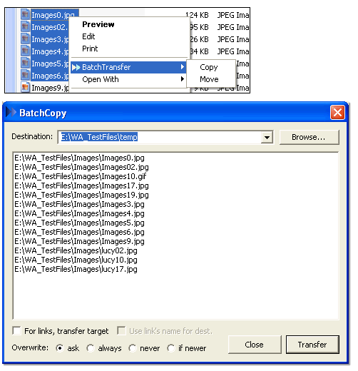 screen capture of BatchTransfer