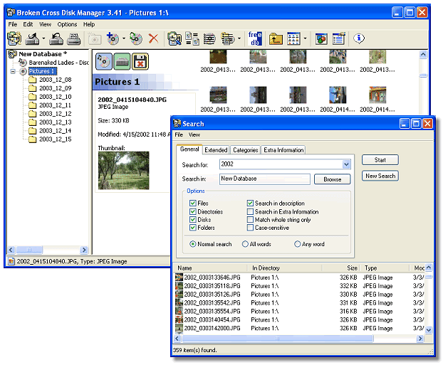 screen capture of Broken Cross Disk Manager