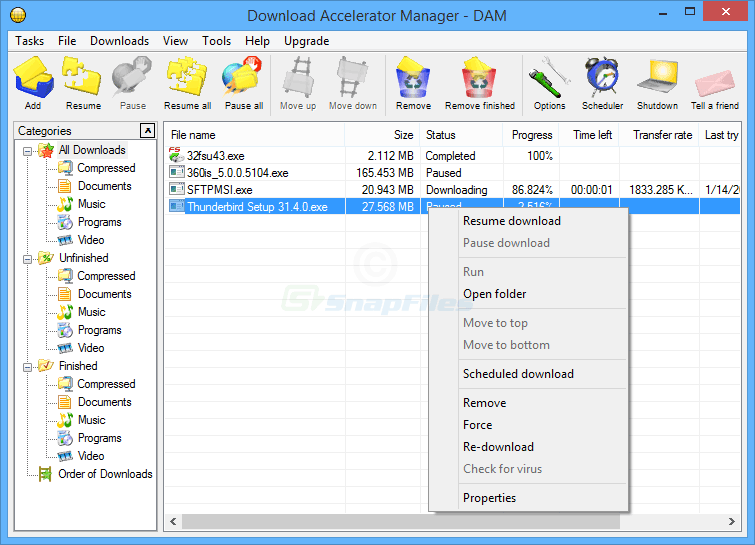 screen capture of Download Accelerator Manager