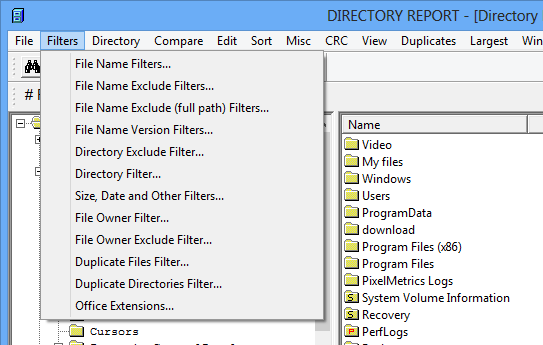 screenshot of Directory Report