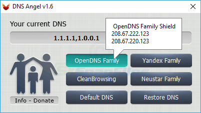 screenshot of DNS Angel