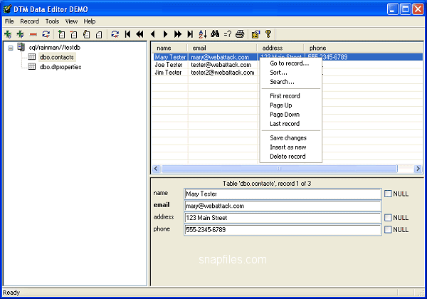 screen capture of DTM Data Editor