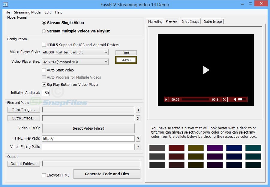 screen capture of EasyFLV Streaming Video