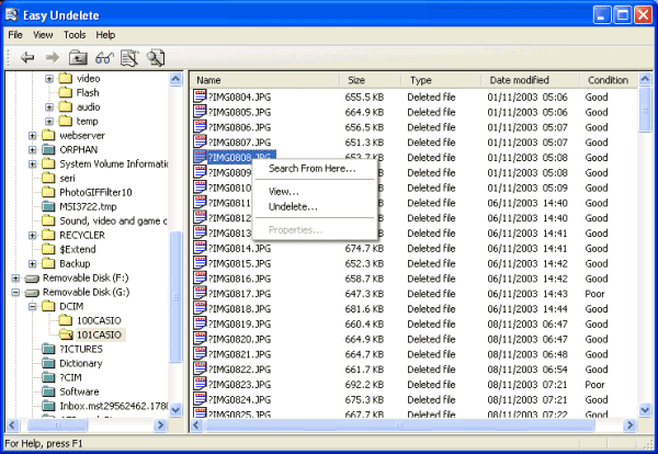 screen capture of Easy Undelete