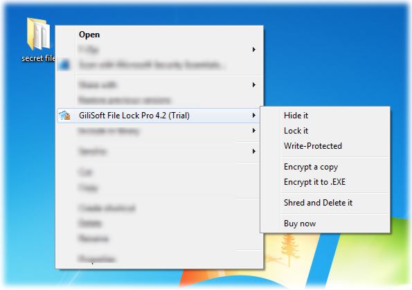 screen capture of GiliSoft File Lock Pro