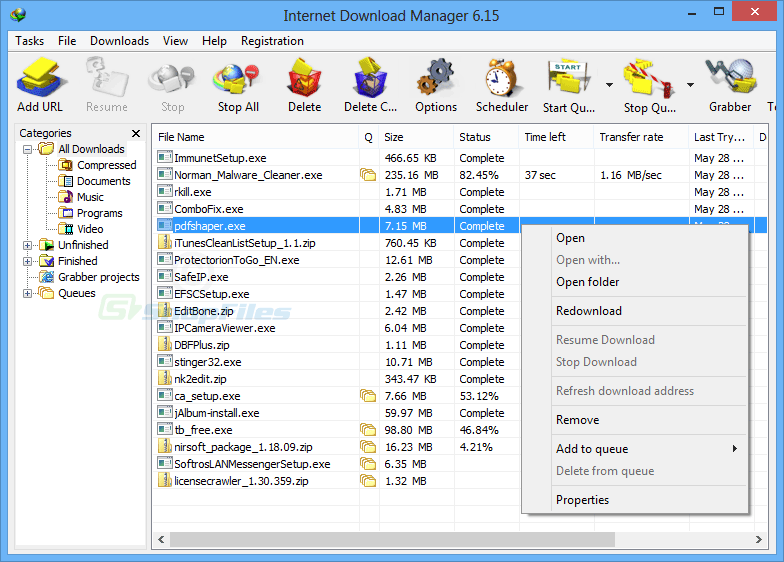 screen capture of Internet Download Manager