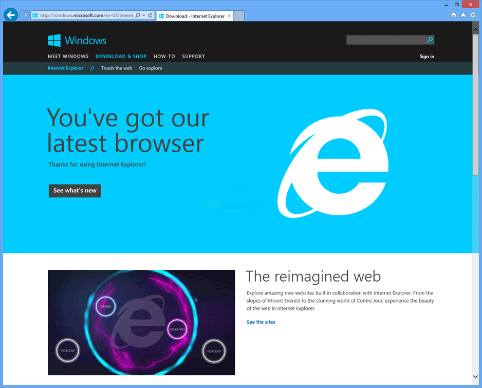 screen capture of Internet Explorer 11 (Win7)