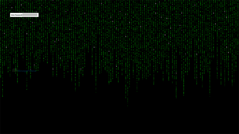 screenshot of Matrix Screen Locker