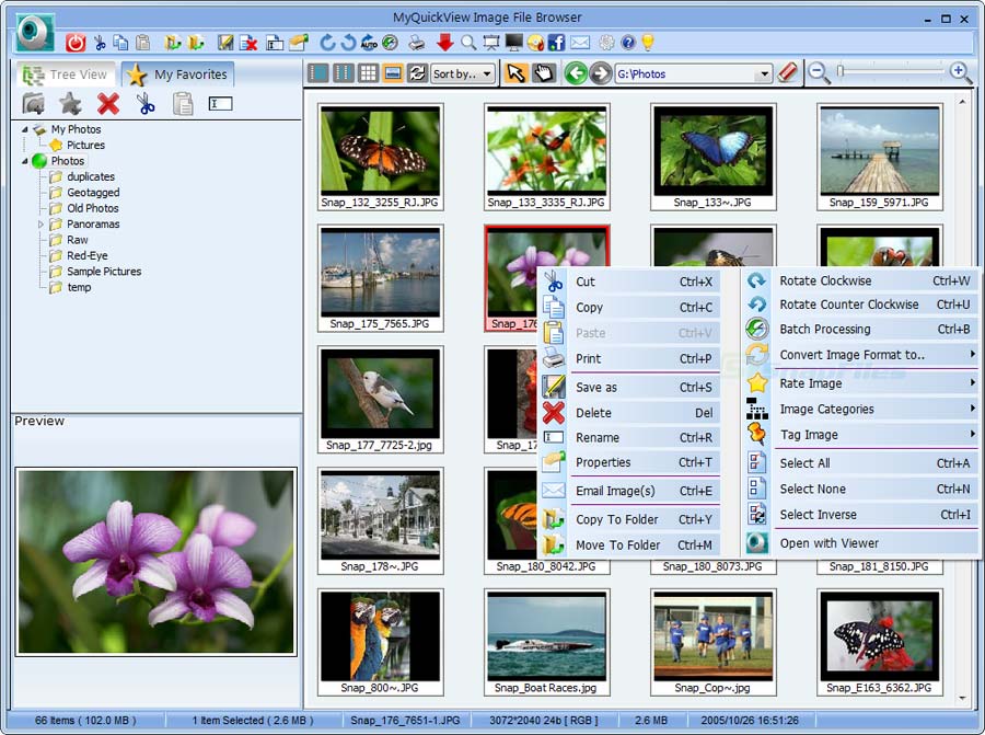 screen capture of MyQuickView