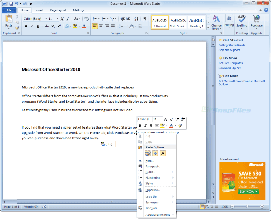 screen capture of Microsoft Office Starter