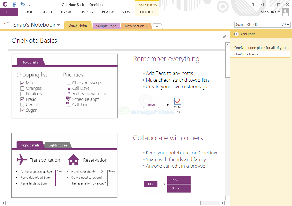 screen capture of Microsoft OneNote