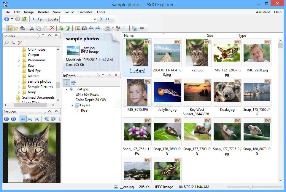 screen capture of P3dO Explorer