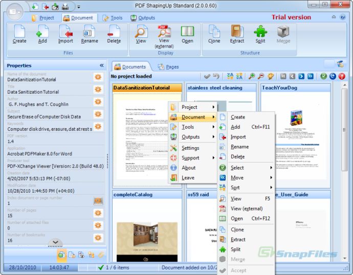 screen capture of PDF ShapingUp