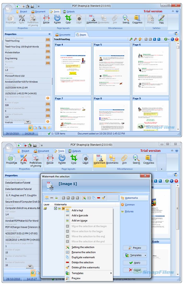 screenshot of PDF ShapingUp