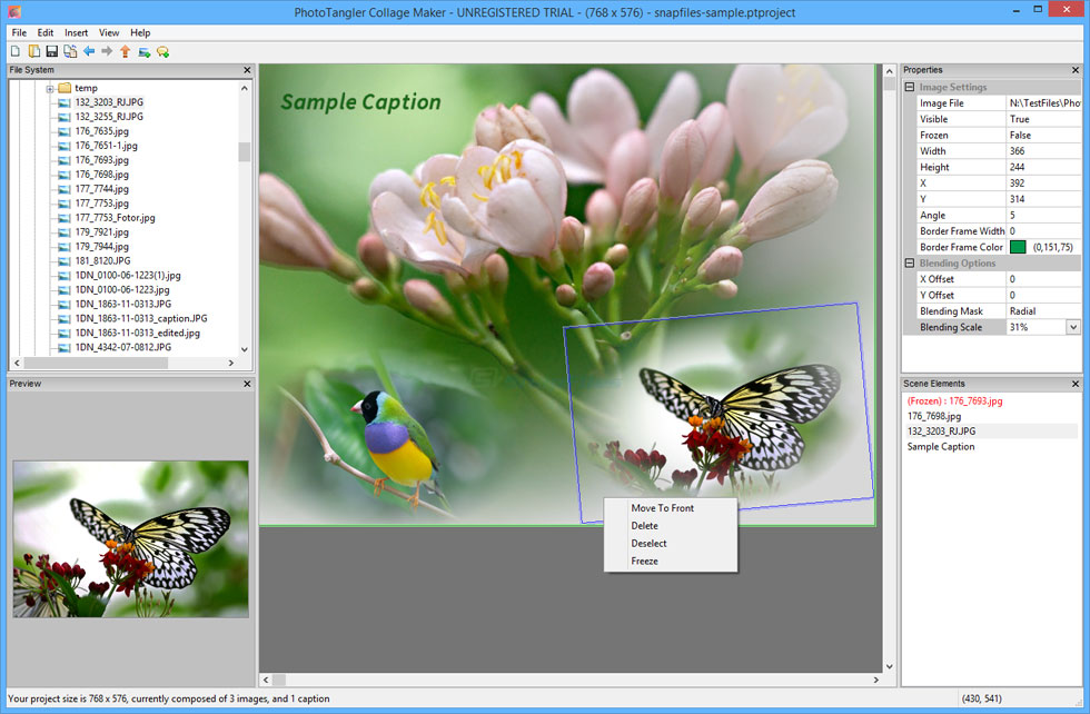 screen capture of PhotoTangler Collage Maker
