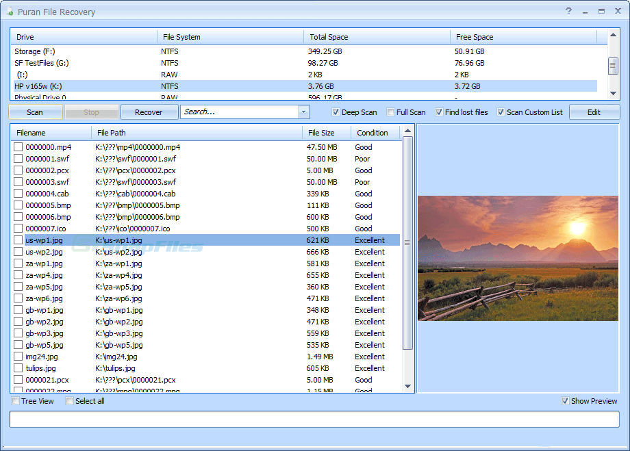 screen capture of Puran File Recovery