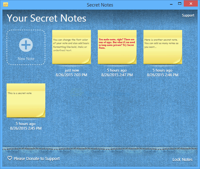 screenshot of Secret Notes