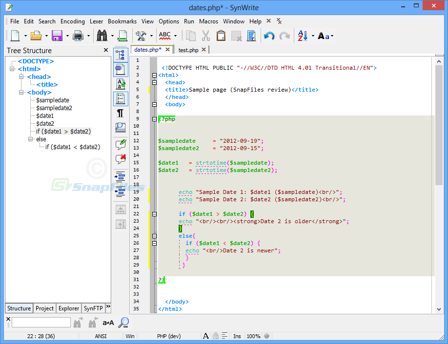 screen capture of SynWrite