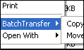 BatchTransfer screenshot