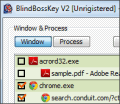 BlindBossKey screenshot