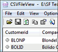 CSVFileView screenshot