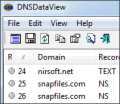 DNSDataView screenshot