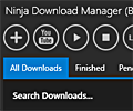 Ninja Download Manager screenshot