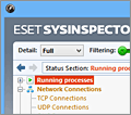 ESET SysInspector screenshot