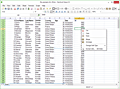 Free Excel Viewer screenshot
