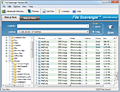 File Scavenger screenshot