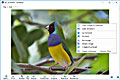 InViewer screenshot