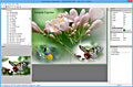 PhotoTangler Collage Maker screenshot