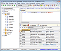 SQLyog Community Edition screenshot
