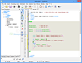 SynWrite screenshot