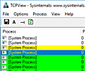 TCPView screenshot