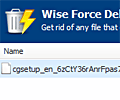 Wise Force Deleter screenshot