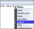 WizKey screenshot