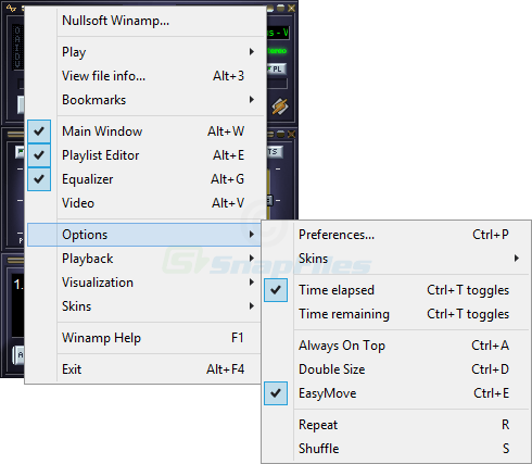 screenshot of Winamp Lite