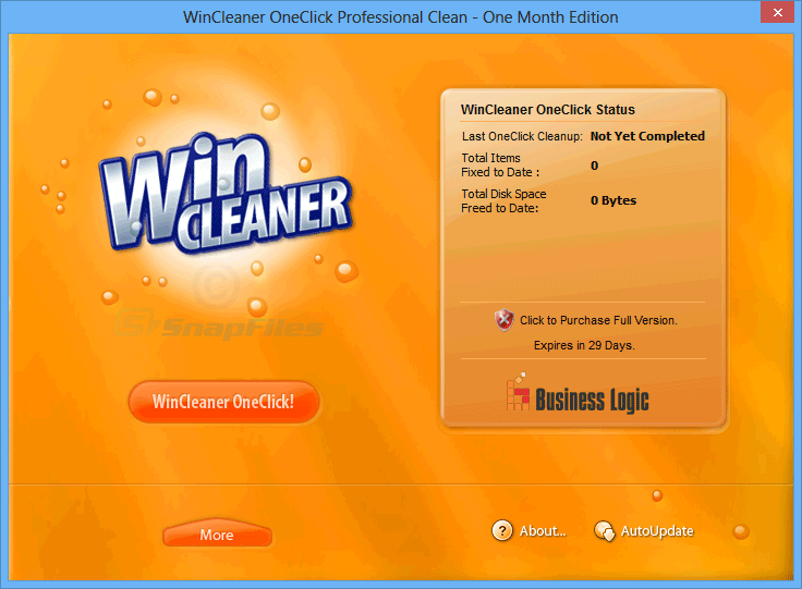 screen capture of WinCleaner One Click