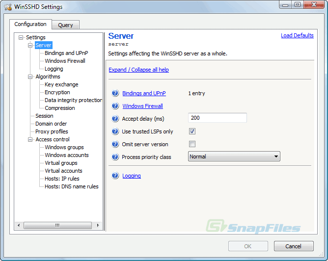 screen capture of Bitvise SSH Server