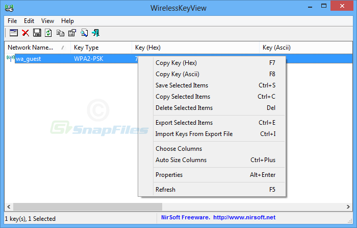 screenshot of WirelessKeyView