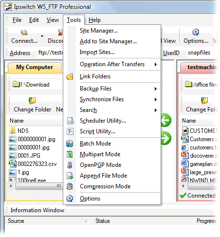screenshot of WS_FTP Professional